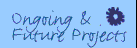 Ongoing & Future Projects